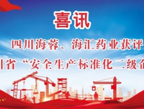 海蓉、海匯藥業(yè)獲評“安全生產(chǎn)標(biāo)準(zhǔn)化二級企業(yè)”